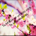 /album/moda/img-6125-jpg/